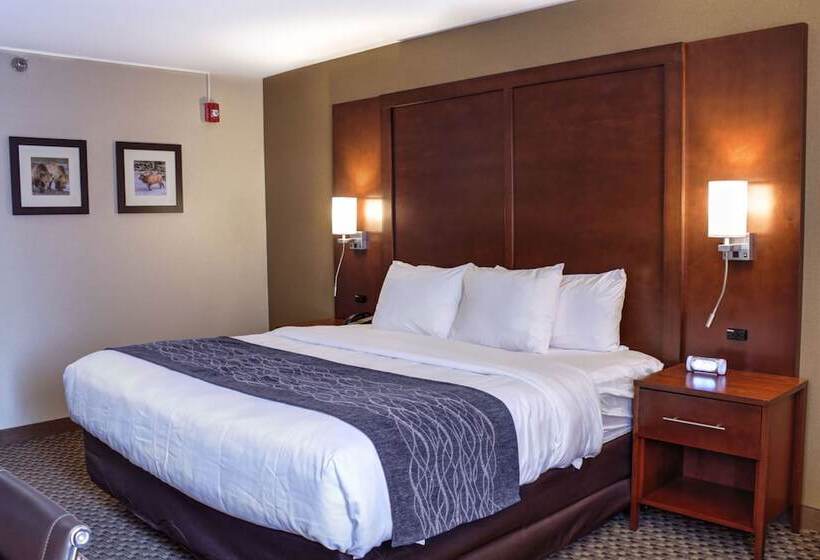 Comfort Inn At Buffalo Bill Village Resort