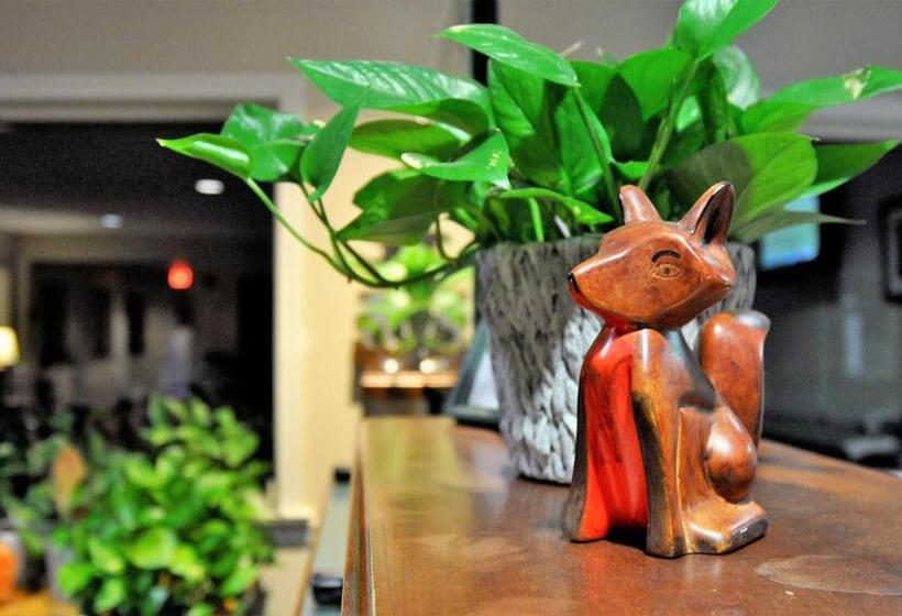 Fox Ridge Resort