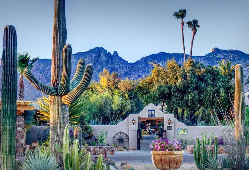 Hacienda Del Sol Guest Ranch Resort