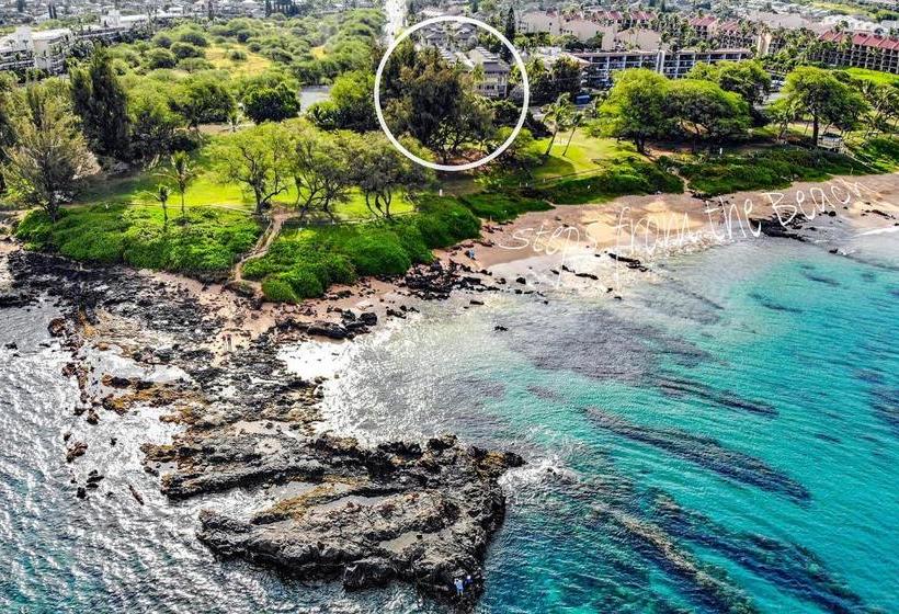 Haleakala Shores A301 Condo