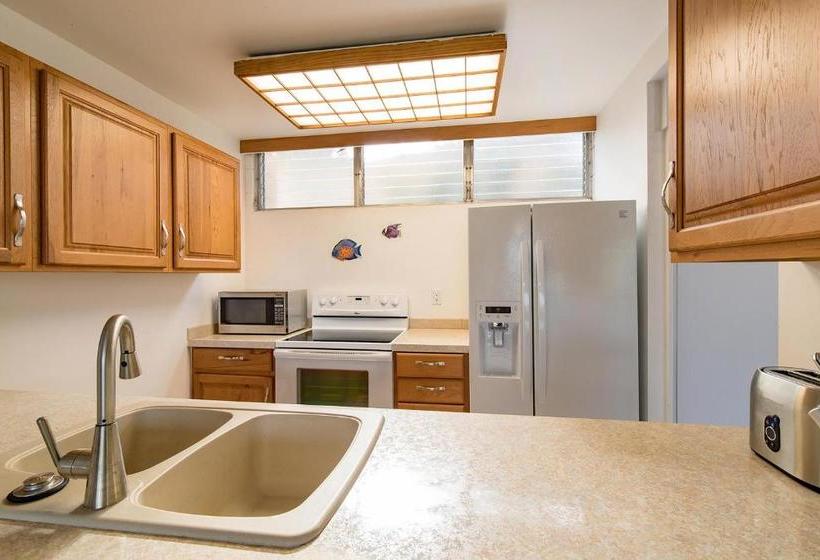 Haleakala Shores A301 Condo