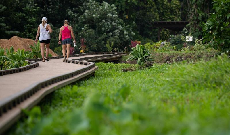 Hanalei Colony Resort