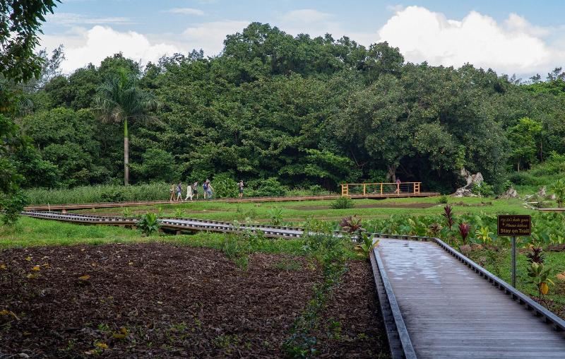 Hanalei Colony Resort