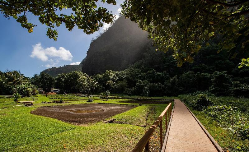 Hanalei Colony Resort