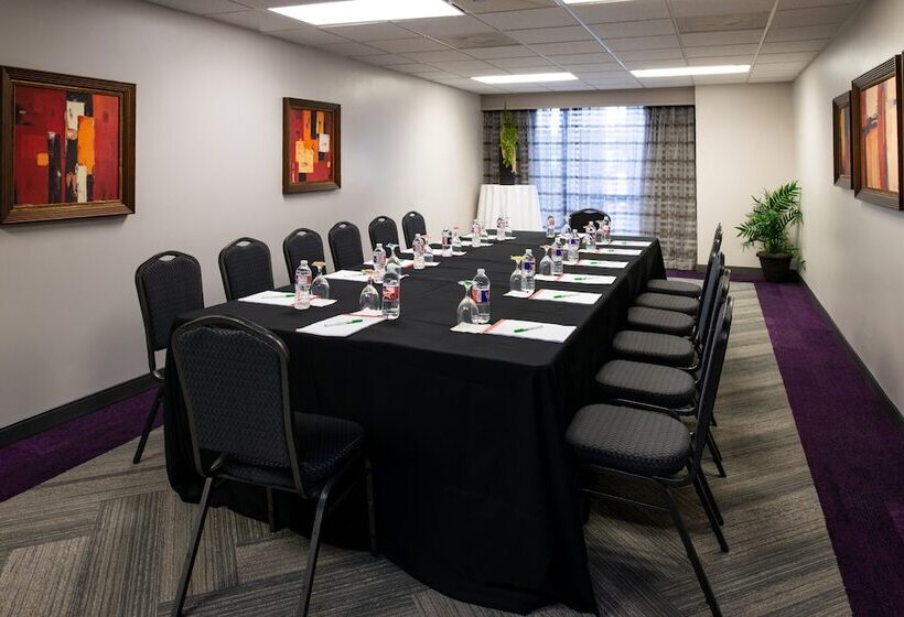 Holiday Inn Hotel And Suites Beaumont Plaza I 10 & Walden, An Ihg