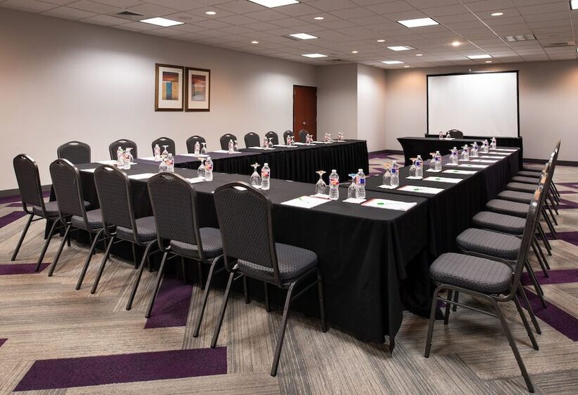 Holiday Inn Hotel And Suites Beaumont Plaza I 10 & Walden, An Ihg