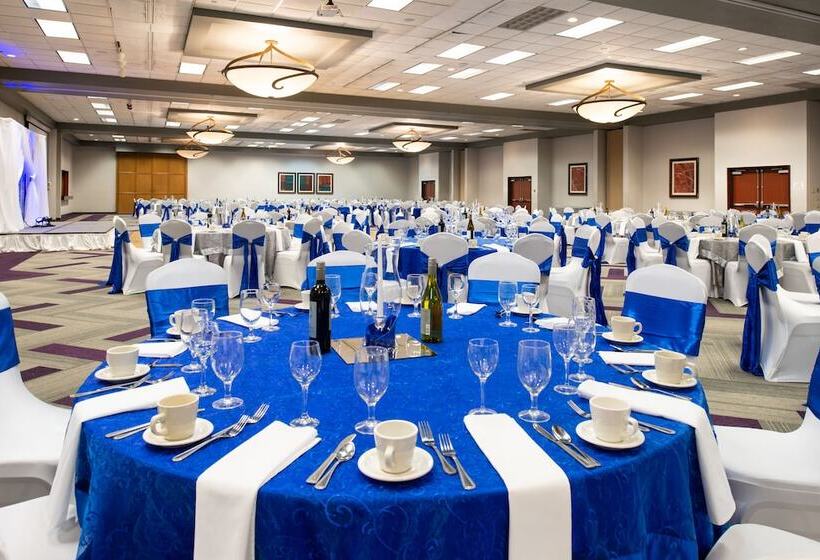 Holiday Inn Hotel And Suites Beaumont Plaza I 10 & Walden, An Ihg