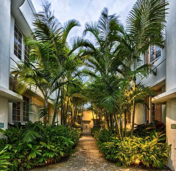 酒店 AxelBeach Miami South Beach - Adults Only