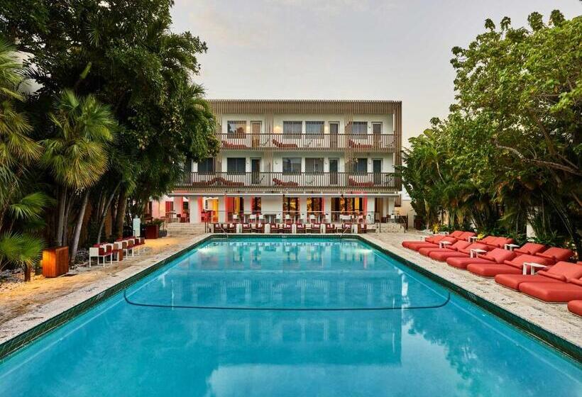 酒店 AxelBeach Miami South Beach - Adults Only