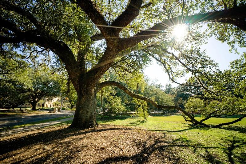 酒店 Baton Rouge Marriott