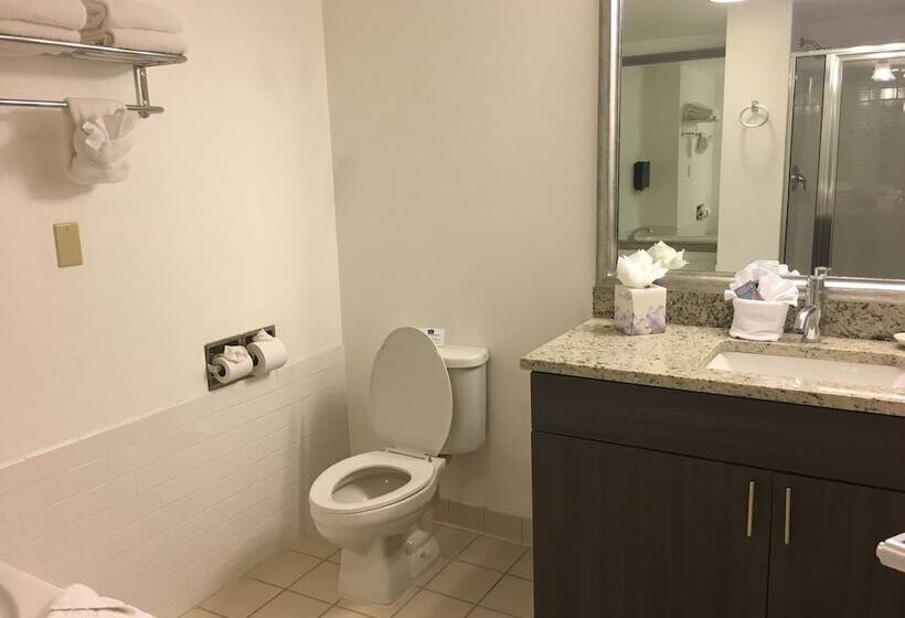 酒店 Red Roof Plus Fort Myers