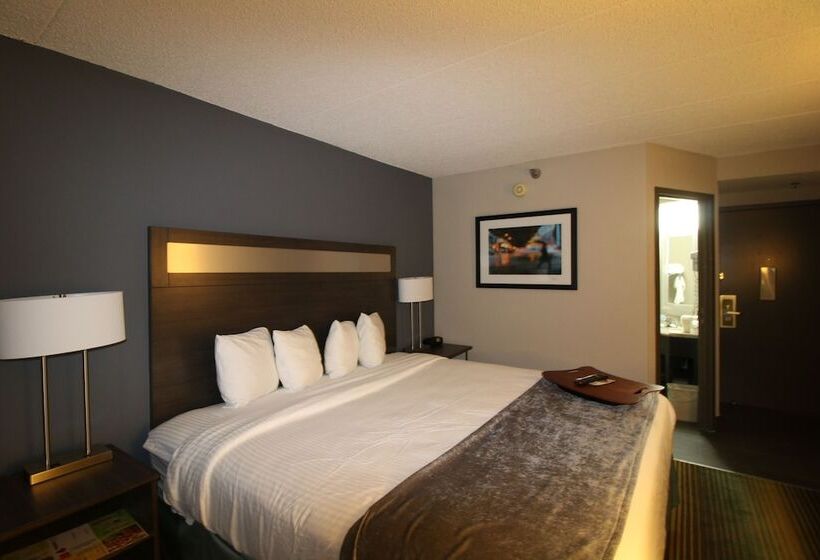 هتل Best Western O Hare/elk Grove