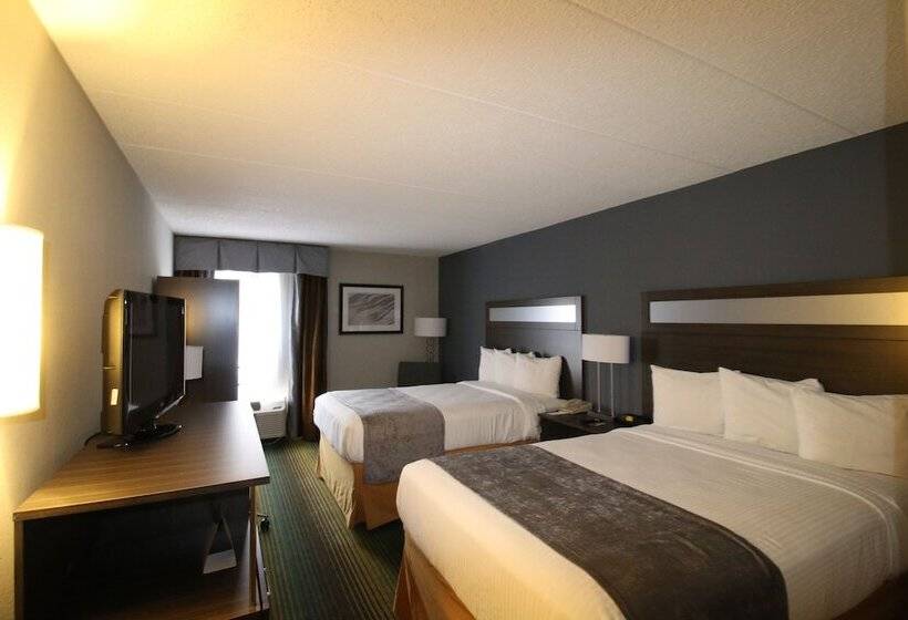 酒店 Best Western O Hare/elk Grove