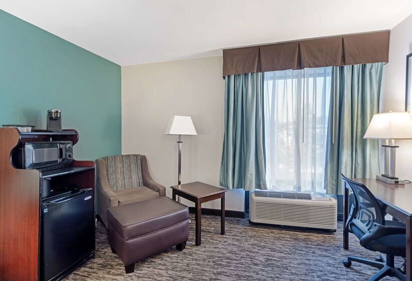 هتل Best Western Plus Chicagoland  Countryside