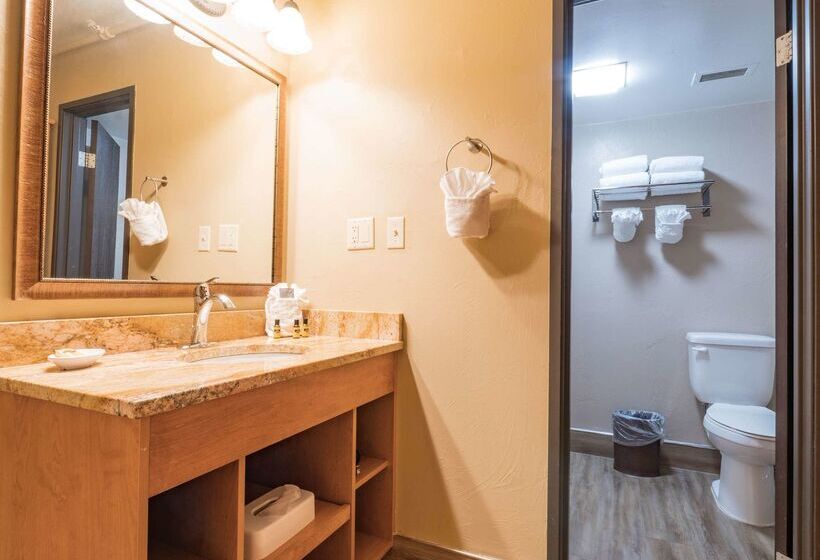 هتل Best Western Plus Grantree Inn