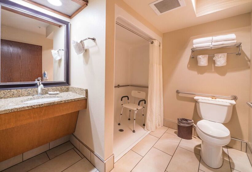 هتل Best Western Plus Grantree Inn