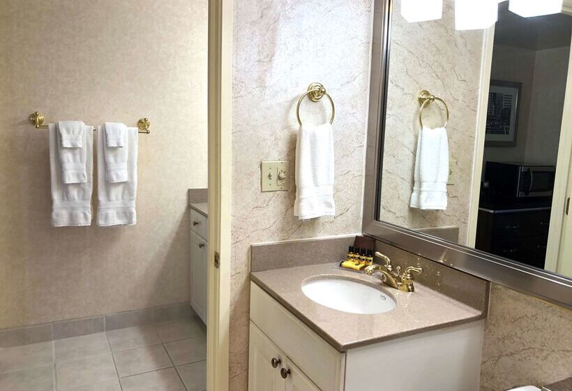 酒店 Best Western Plus Grosvenor Airport