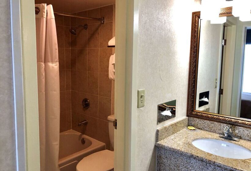 酒店 Best Western Plus Grosvenor Airport