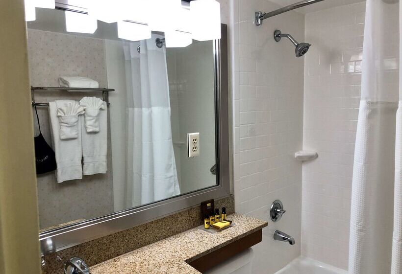 酒店 Best Western Plus Grosvenor Airport