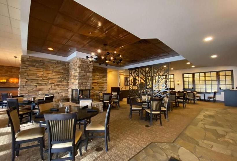 בית מלון כפרי Wyndham Minneapolis South Burnsville