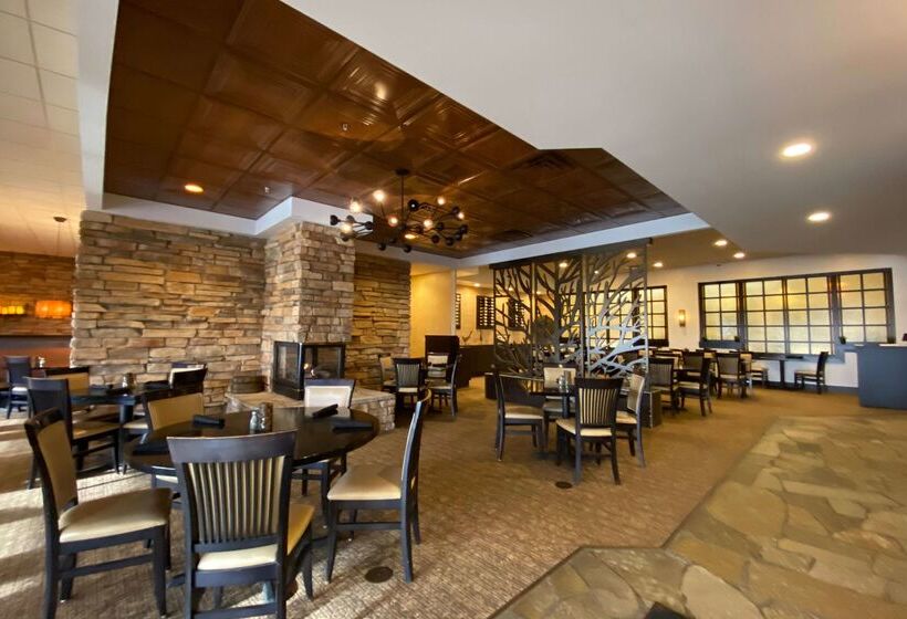 فندق Wyndham Minneapolis South Burnsville