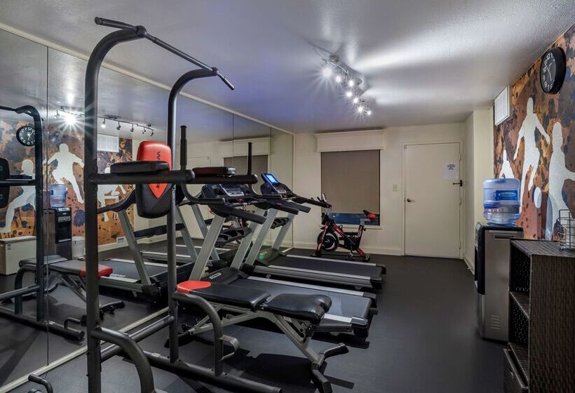 فندق Best Western Salisbury Plaza