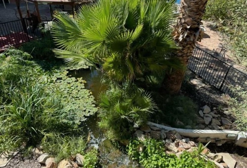 Отель Big Chile Inn & Suites