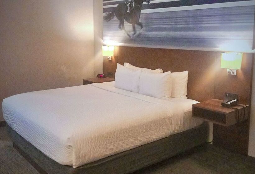 ホテル Clarion Pointe Hopkinsville near The Bruce Convention Center