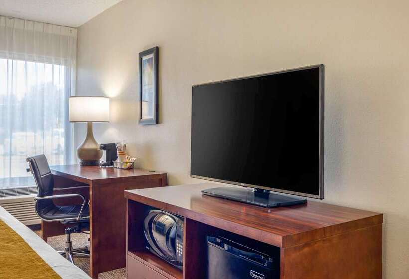 Отель Comfort Inn Atlanta Airport