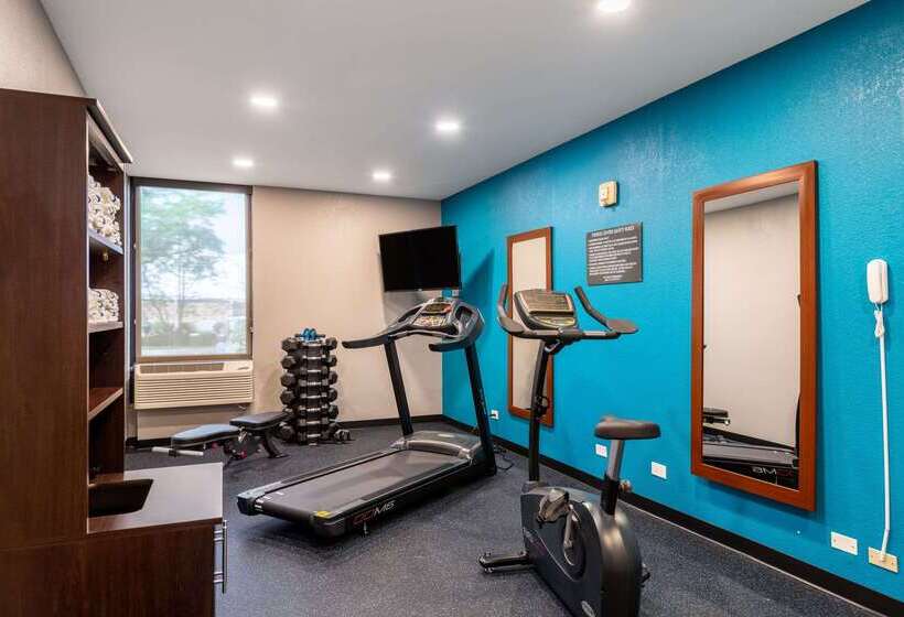 Отель Comfort Inn Chicago Schaumburg O Hare Airport