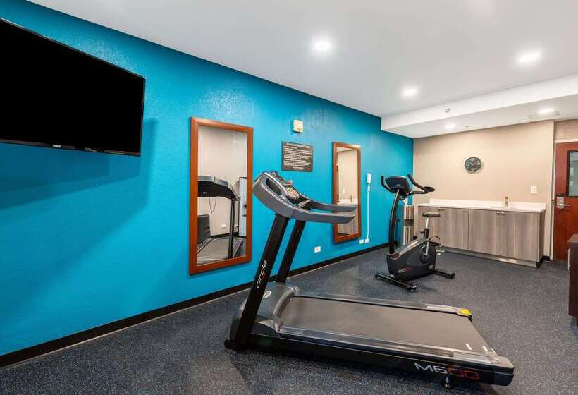 Отель Comfort Inn Chicago Schaumburg O Hare Airport