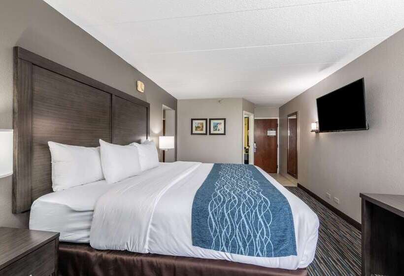 Отель Comfort Inn Chicago Schaumburg O Hare Airport
