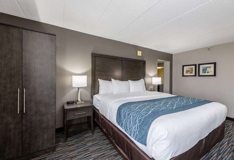 هتل Comfort Inn Chicago Schaumburg  O Hare Airport