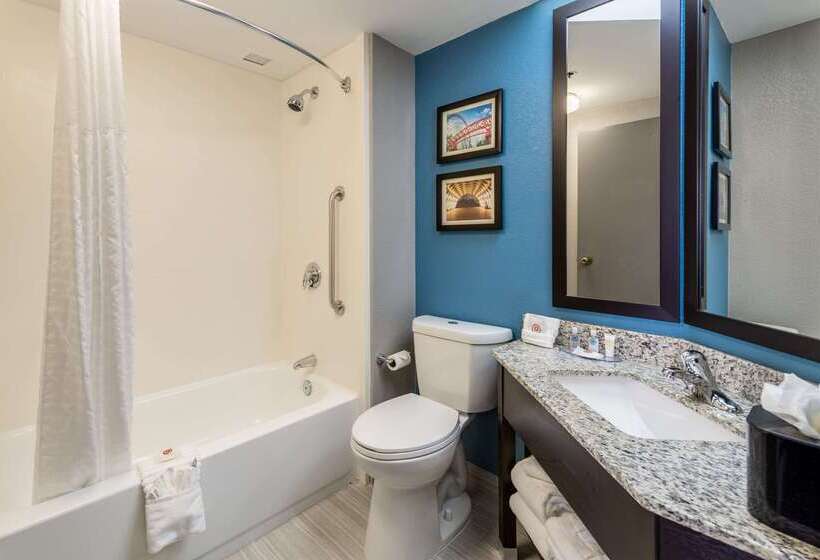 Отель Comfort Inn Chicago Schaumburg O Hare Airport