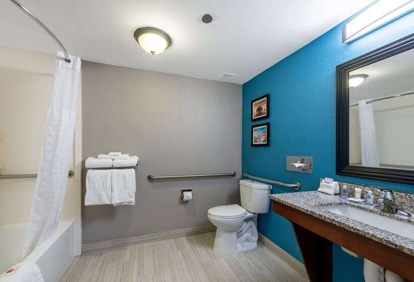 Отель Comfort Inn Chicago Schaumburg O Hare Airport