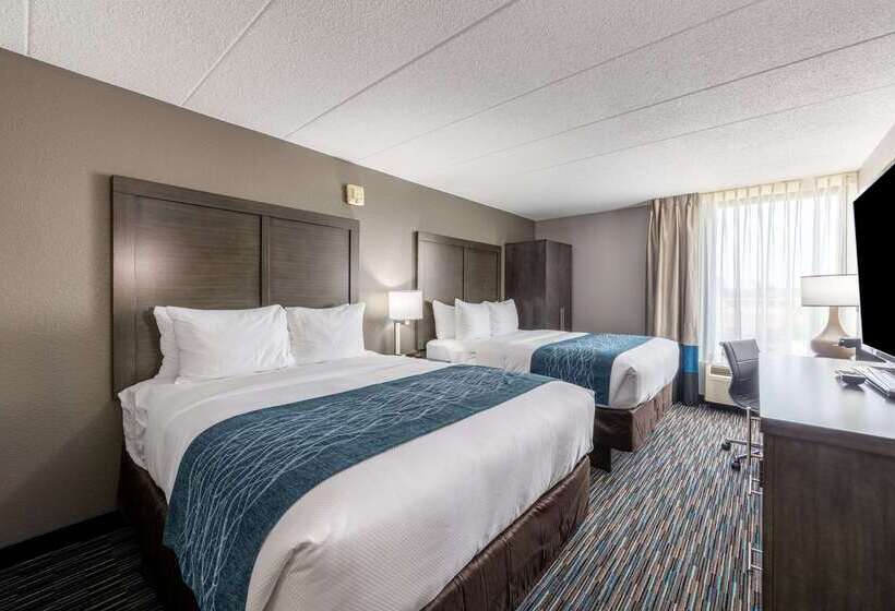Отель Comfort Inn Chicago Schaumburg O Hare Airport