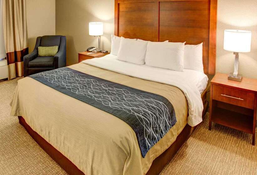 호텔 Comfort Inn Conference Center