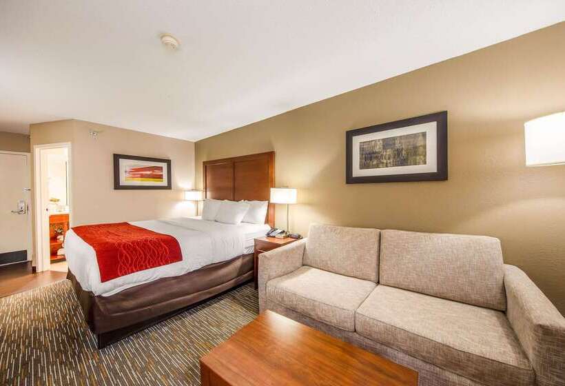 호텔 Comfort Inn Greenville Haywood Mall