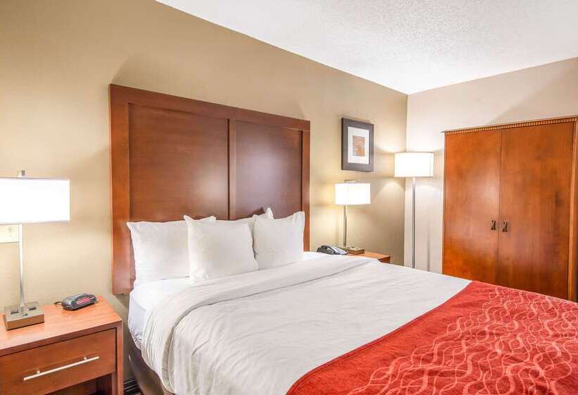 호텔 Comfort Inn Greenville Haywood Mall