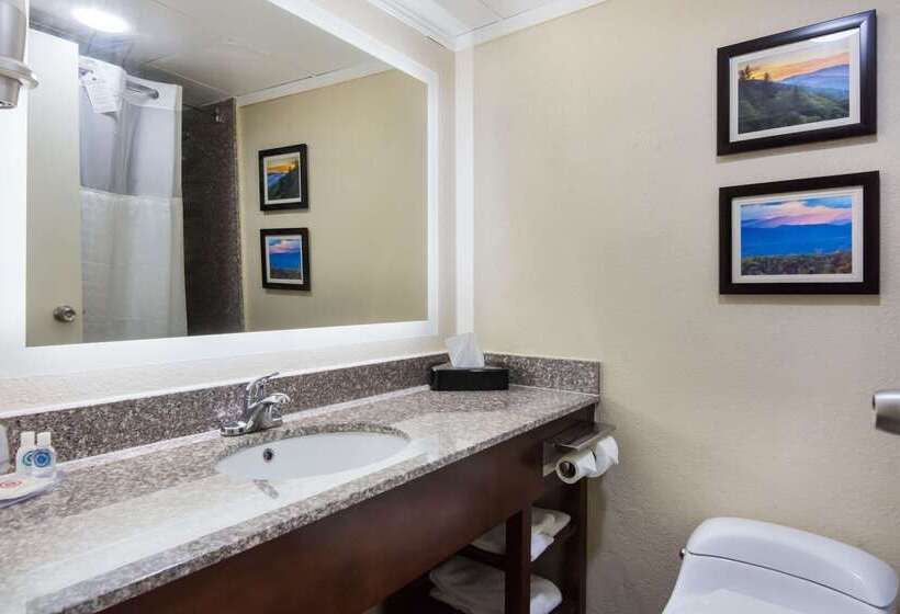 فندق Comfort Inn