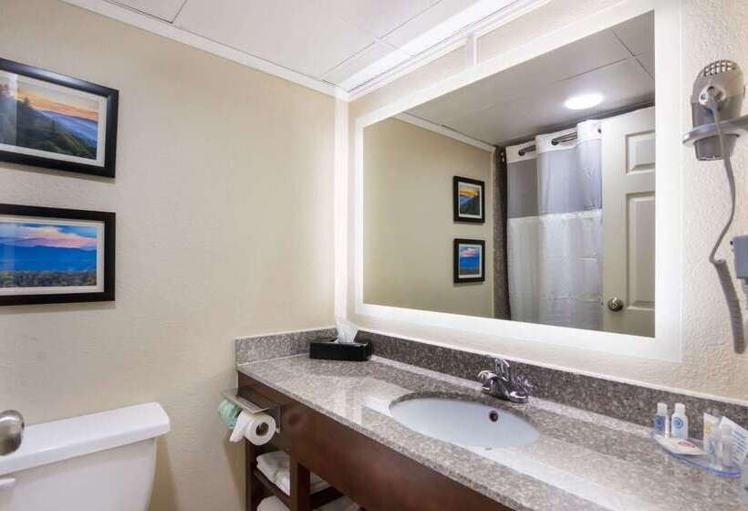 فندق Comfort Inn