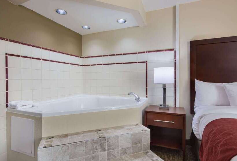 酒店 Comfort Inn