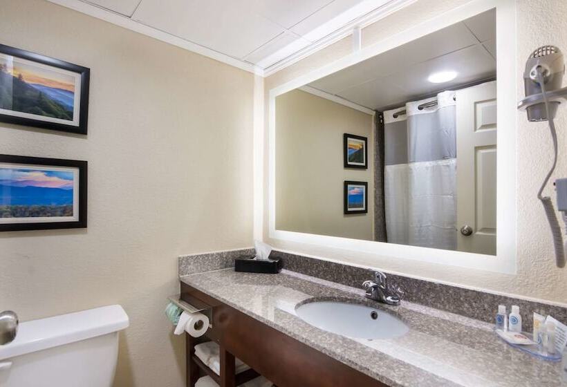 فندق Comfort Inn