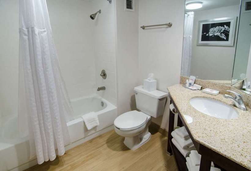 هتل Comfort Inn Raleigh Midtown