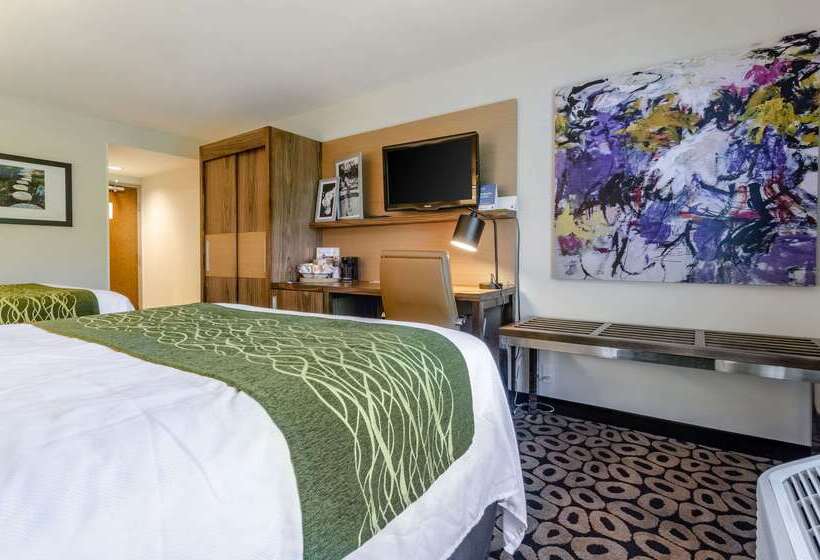 هتل Comfort Inn Raleigh Midtown