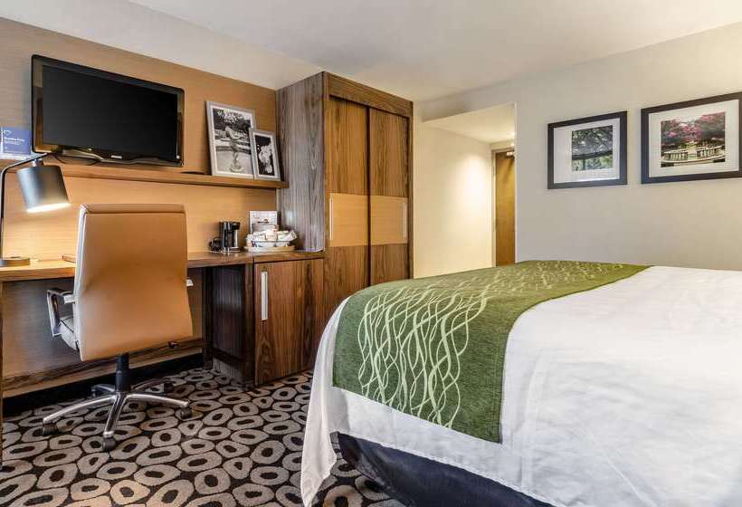 هتل Comfort Inn Raleigh Midtown