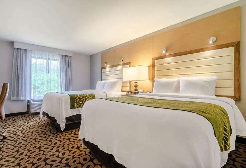 هتل Comfort Inn Raleigh Midtown