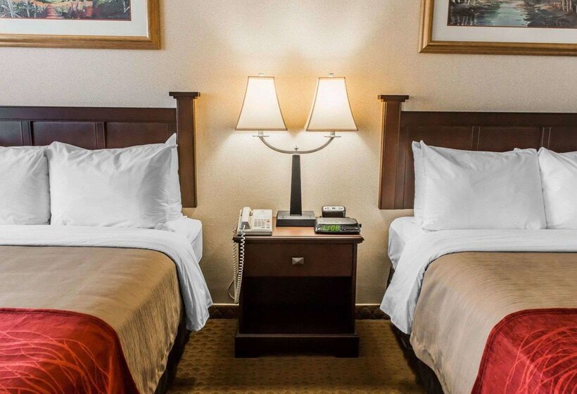 فندق Comfort Inn