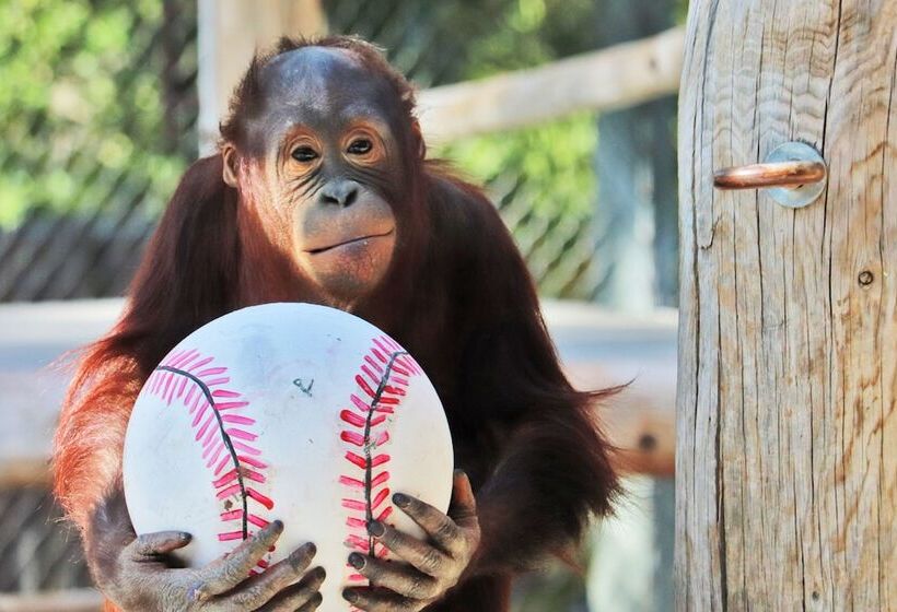 酒店 Crowne Plaza Phoenix Airport   Phx, An Ihg