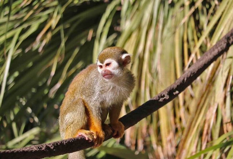 酒店 Crowne Plaza Phoenix Airport   Phx, An Ihg